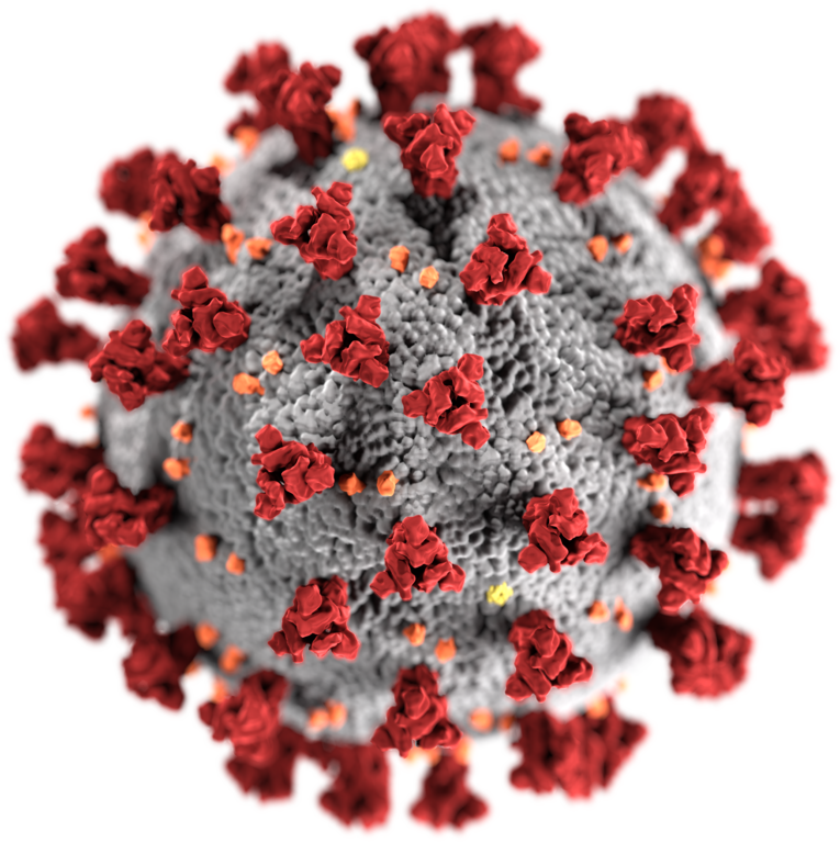 Coronavirus: tot ce trebuie să știți despre simptome și riscuri