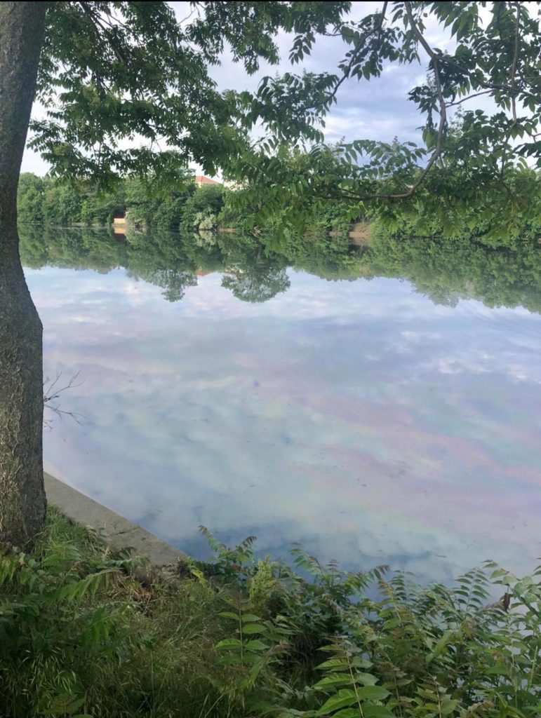 Lacul Băneasa a fost poluat cu o substanță neidentificată Lacul Băneasa a fost poluat cu o substanță neidentificată