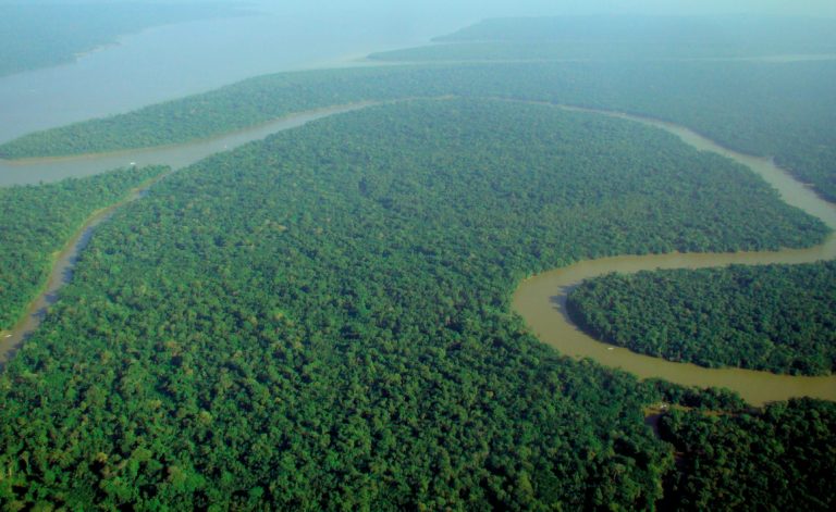 STUDIU: 40% din pădurea tropicală amazoniană riscă să devină savană