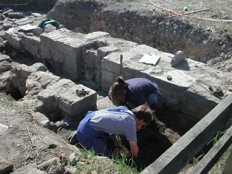 Prima excavare a unei nave vikinge, în decursul unui secol, începe în Norvegia