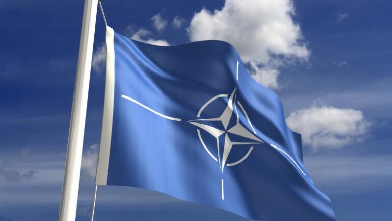 Germania și Lituania au semnat un acord de cooperare în cadrul NATO