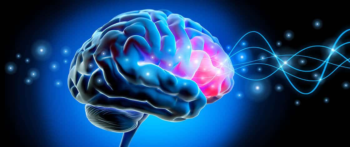 Neurochirurgul Vlad Ciurea: Între 4 pereți, ne tâmpim / Despre ce mâncăruri sunt bune pentru creier