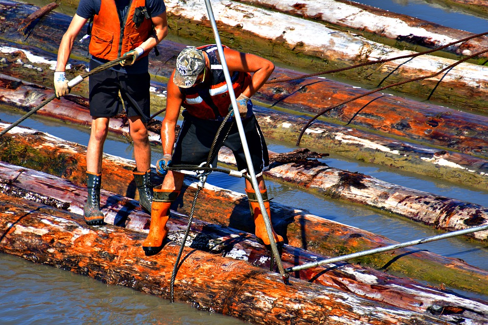 Suceava: Buștenii căzuți dintr-un autocamion au rănit 3 persoane pe DN17 Suceava: Buștenii căzuți dintr-un autocamion au rănit 3 persoane pe DN17