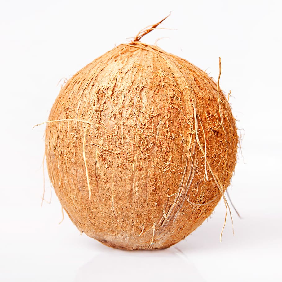 Mai multe supermarketuri scot de la vânzare produse din cocos adunate de maimuțe