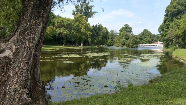 FOTOGALERIE „Comoara Craiovei”: Parcul „Nicolae Romanescu”, al doilea ca dimensiune din România, o oază de verdeață și relaxare