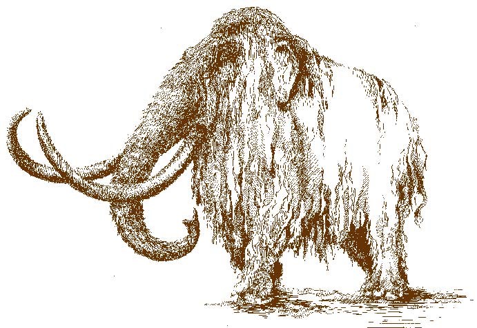 Fosila unui mamut lânos a fost descoperită în Siberia