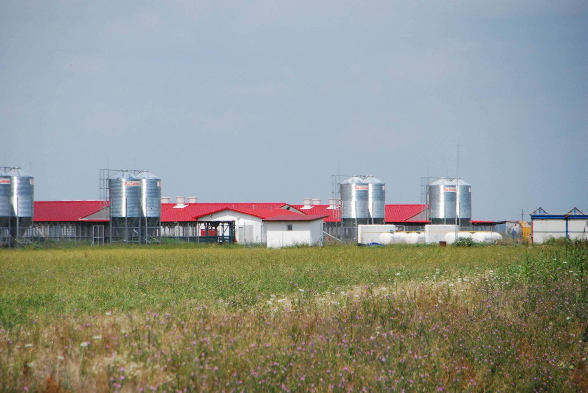 93 de persoane infectate la cel mai mare combinat de procesare a cărnii din România