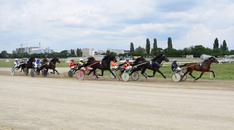 Prima cursă de galop-duminică pe Hipodromul Ploiești