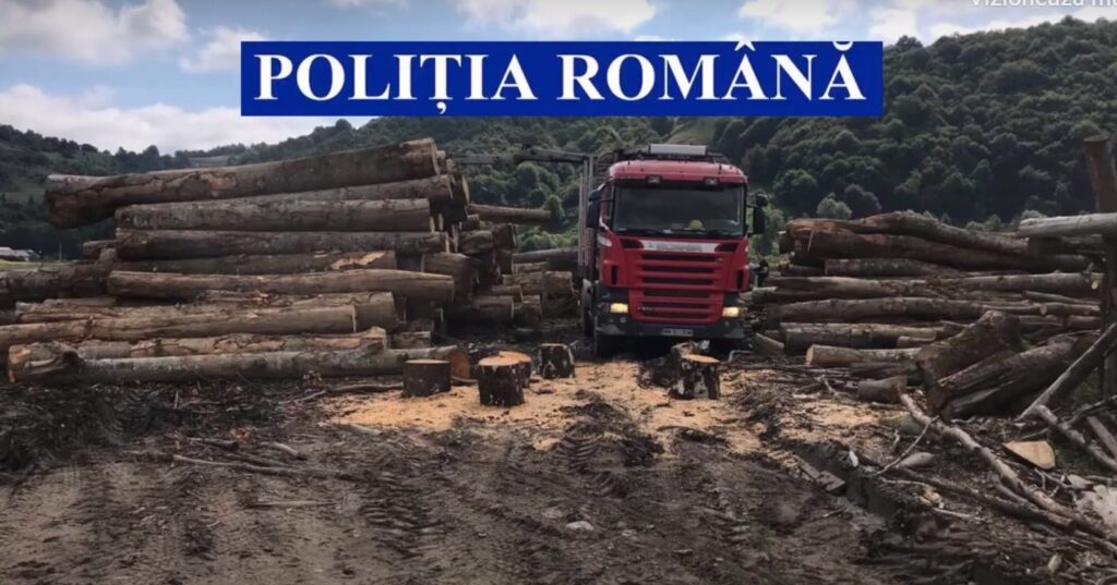 Acțiune pentru împiedicarea tăierilor ilegale în Maramureș / Amenzi de 220.000 lei Acțiune pentru împiedicarea tăierilor ilegale în Maramureș / Amenzi de 220.000 lei