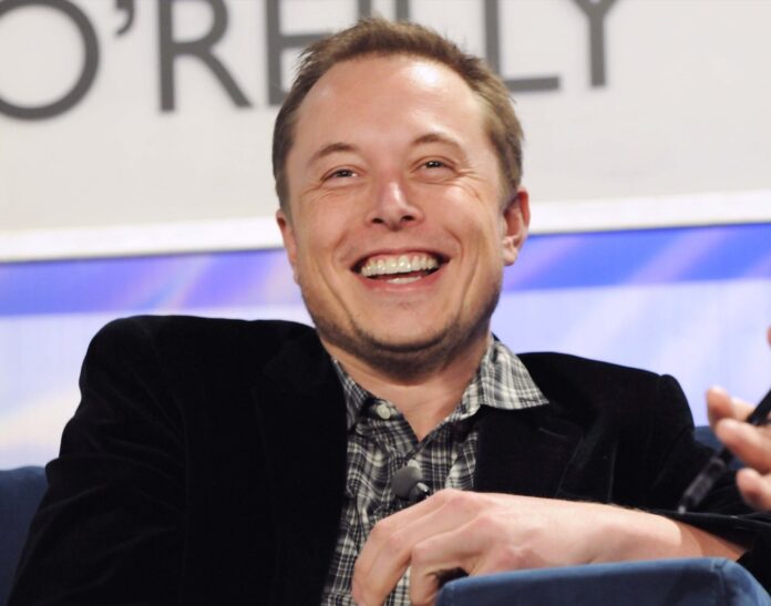 Elon Musk, cip plantat in creierul unui porc