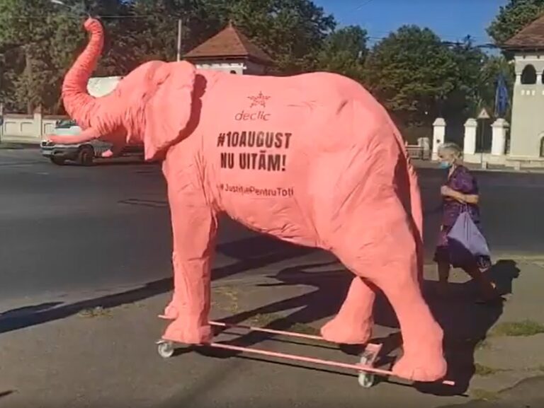 Protest al comunității Declic pentru a marca 2 ani de la protestul 10 august: Plimbă un elefant roz prin București