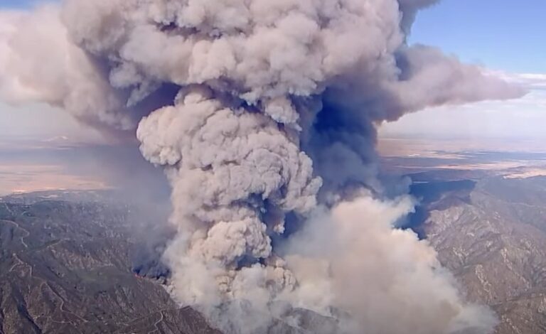 4.000 de hectare de vegetație ard lângă Los Angeles / Evacuări masive în zonă