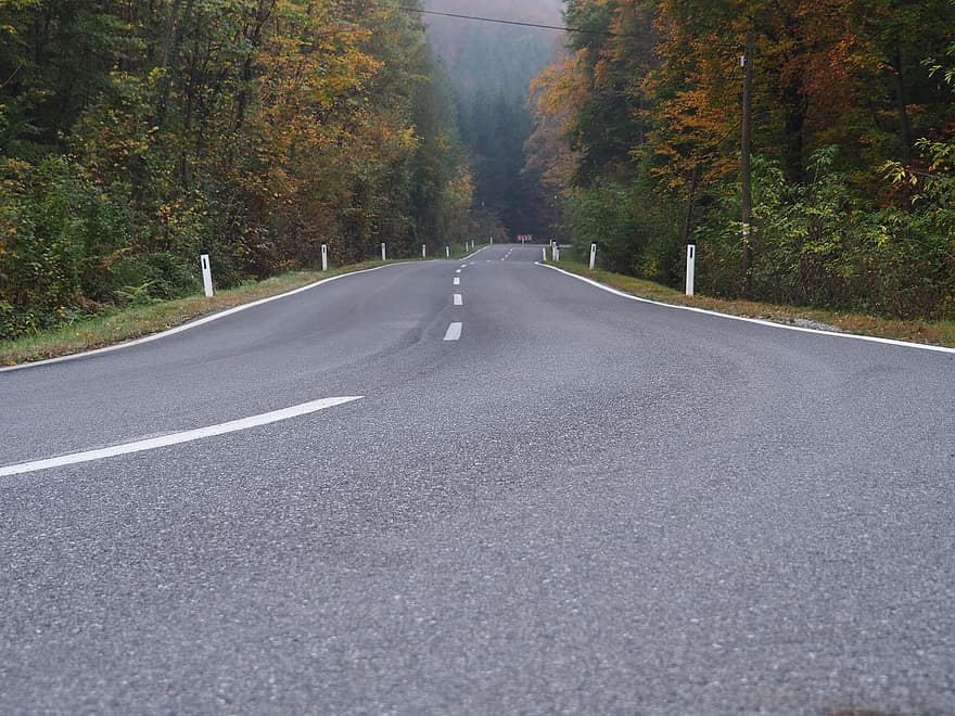 Accident rutier în județul Brăila: un tânăr a decedat și alți opt sunt răniți Accident rutier în județul Brăila: un tânăr a decedat și alți opt sunt răniți