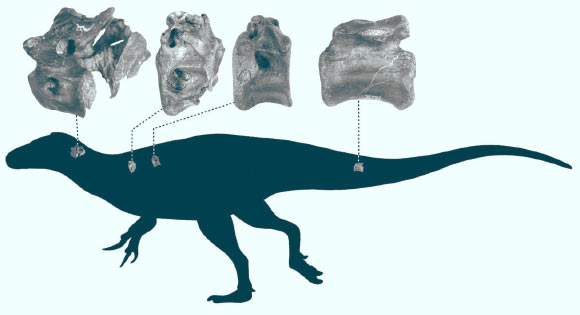 Oase de dinozaur- găsite pe o plajă din Marea Britanie