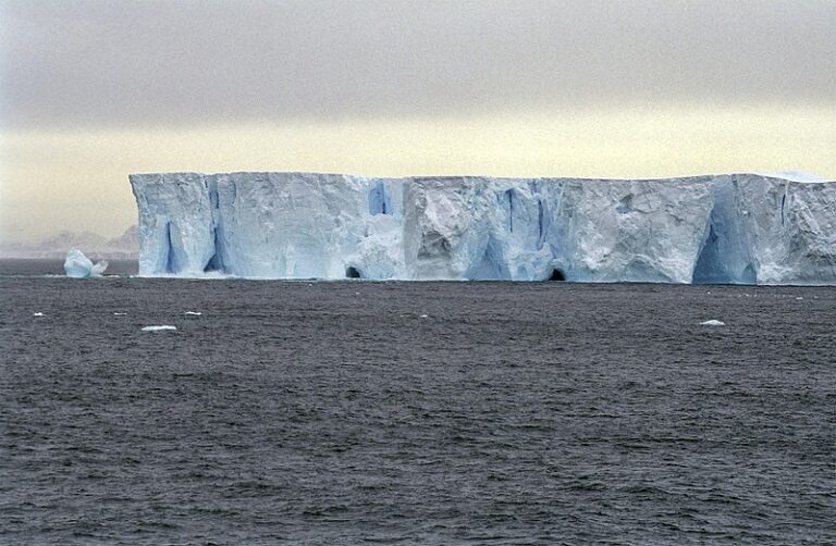 Schimbări climatice: Căldura afectează stratul de gheață din Groenlanda