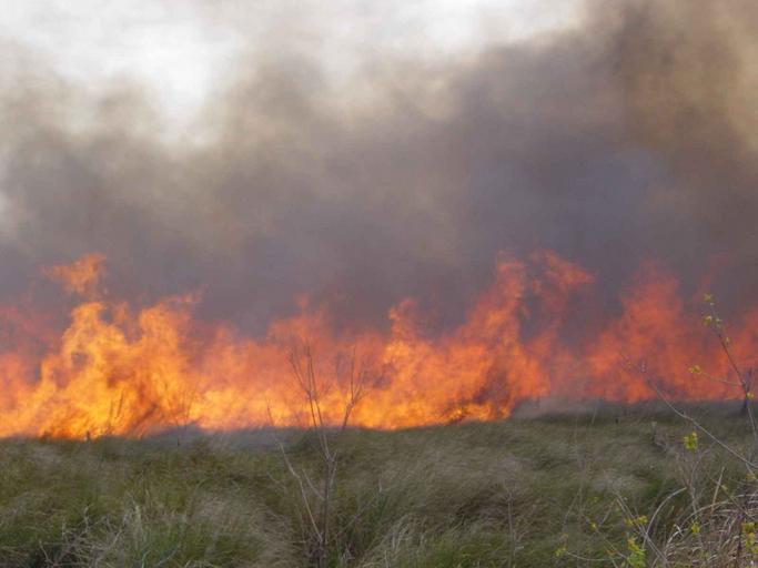 MAE: Pericol ridicat de incendii în Grecia