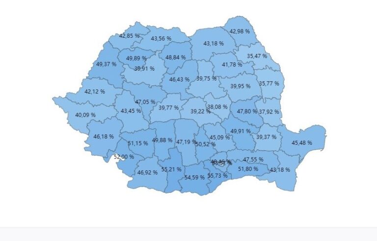 Alegeri locale 2020: Prezența la vot de la ora 19.00 – 41,48 %