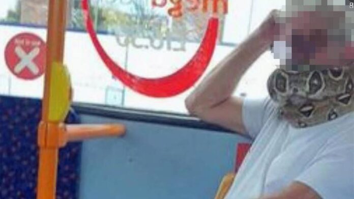 Pasagerul cu un șarpe pe post de mască pasager, șarpe, mască