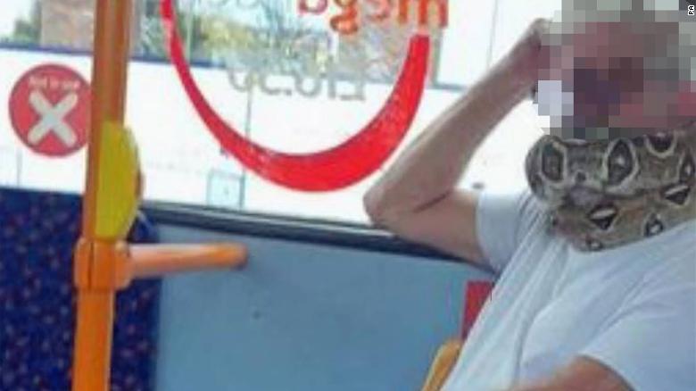 Un pasager a folosit un șarpe viu pe post de mască într-un autobuz din Marea Britanie Un pasager a folosit un șarpe viu pe post de mască într-un autobuz din Marea Britanie