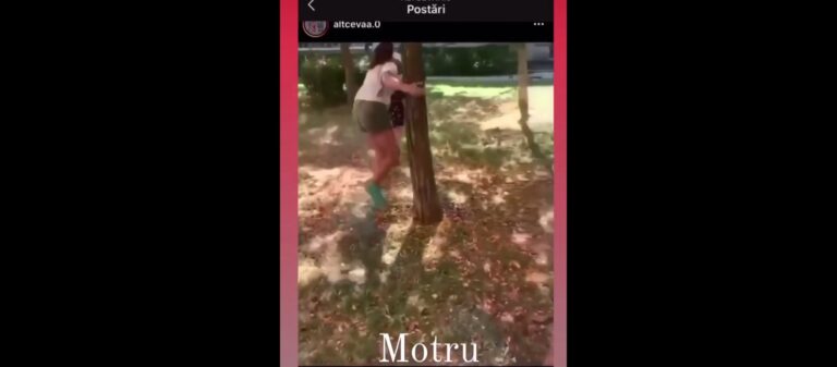 VIDEO 2 fete de 11 ani lovesc o fetiță de 8 ani în Motru