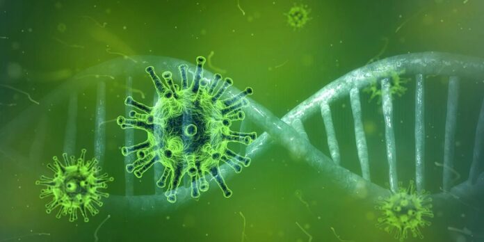 Coronavirus coronavirus