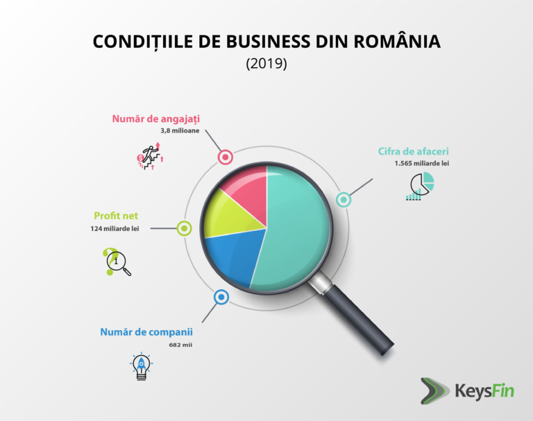 Analiza mediului de afaceri din România: Cele 700 de companii locale au generat 45% din cifra de afaceri a companiilor nefinanciare din România