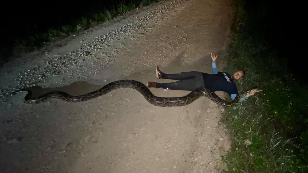 Piton de aproape 6 metri lungime capturat în Florida