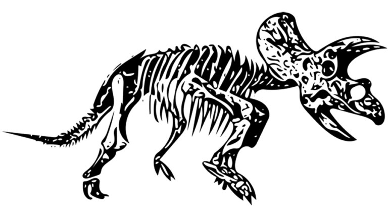 Canada: Un băiat de 12 ani a descoperit un schelet de dinozaur