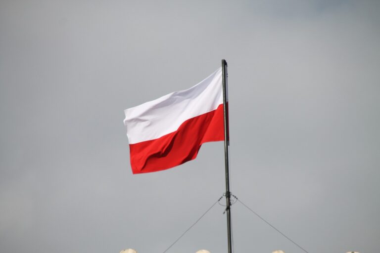 Polonia vrea să interzică blocarea conturilor de pe rețelele sociale