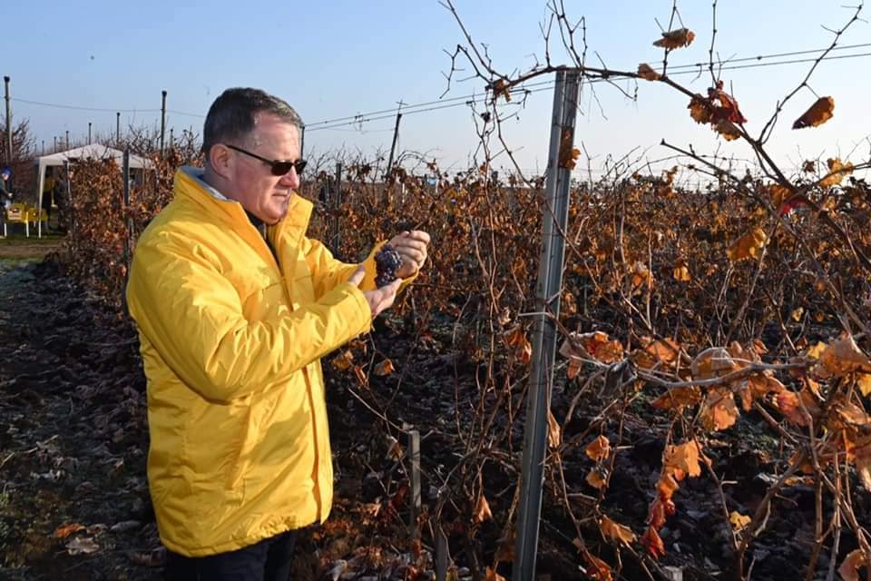 Ministrul Agriculturii, Adrian Oros, are COVID-19