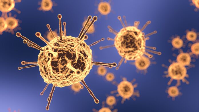 Bilanț, coronavirus, 15 ianuarie