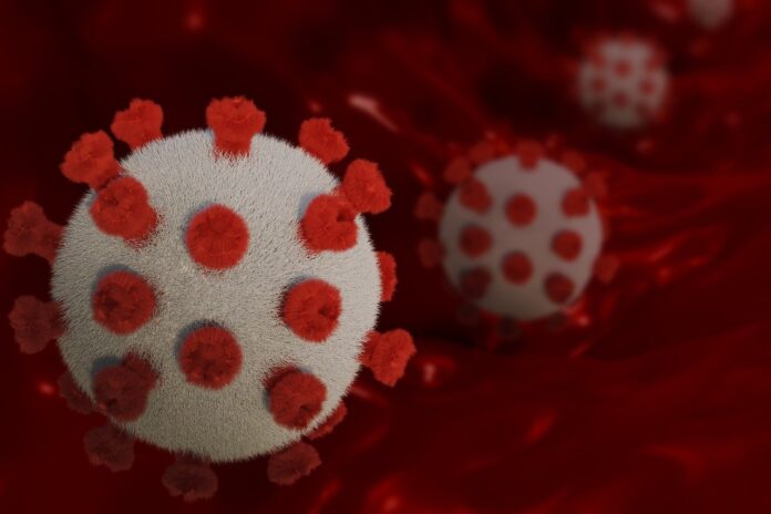Covid-19 Bilanț coronavirus 4 ianuarie