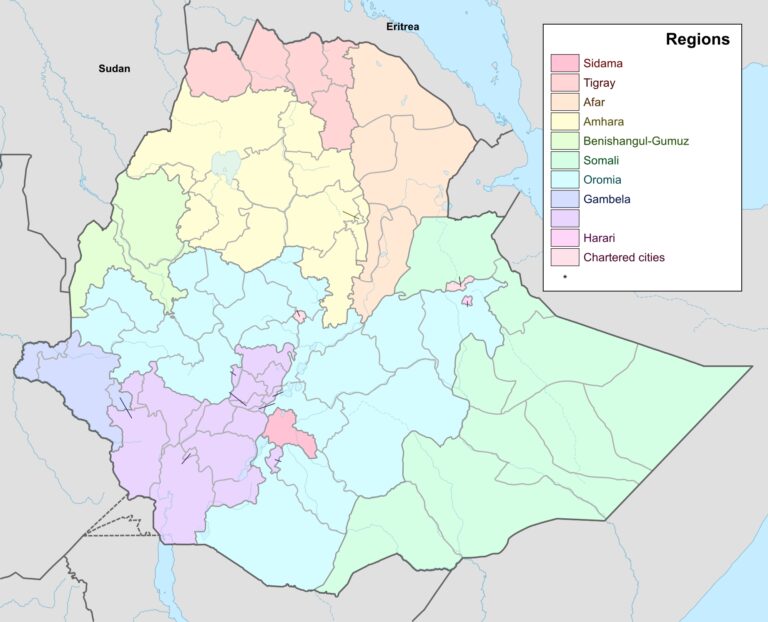 Amnesty International: Sute de civili masacrați în Etiopia