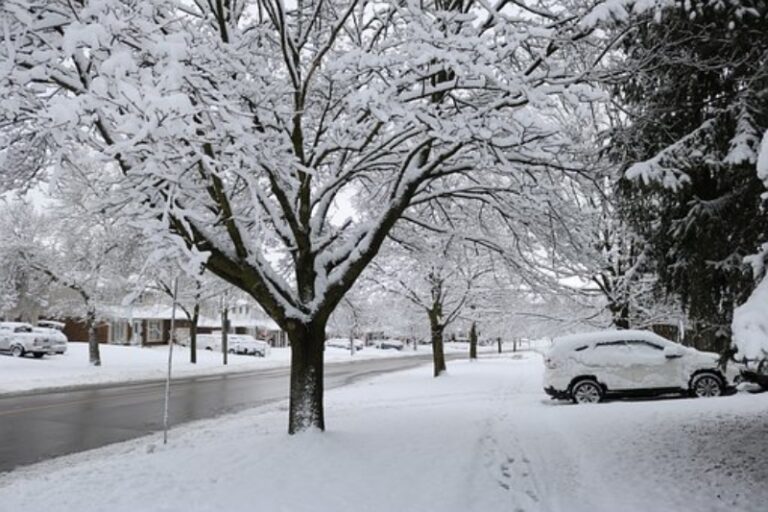 Informare meteo de ninsori și intensificări ale vântului până vineri / Vreme geroasă spre sfârșitul săptămânii