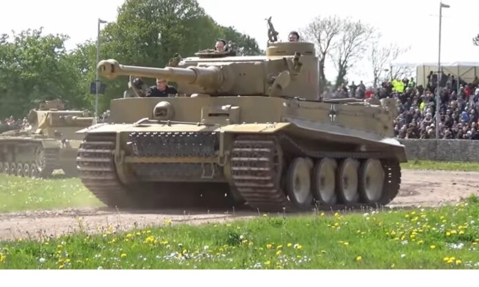 Tiger Tiger 131