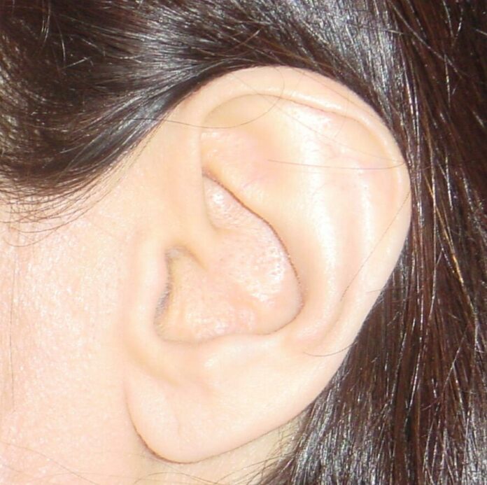 ureche, umană, interior, stoca, cerumen