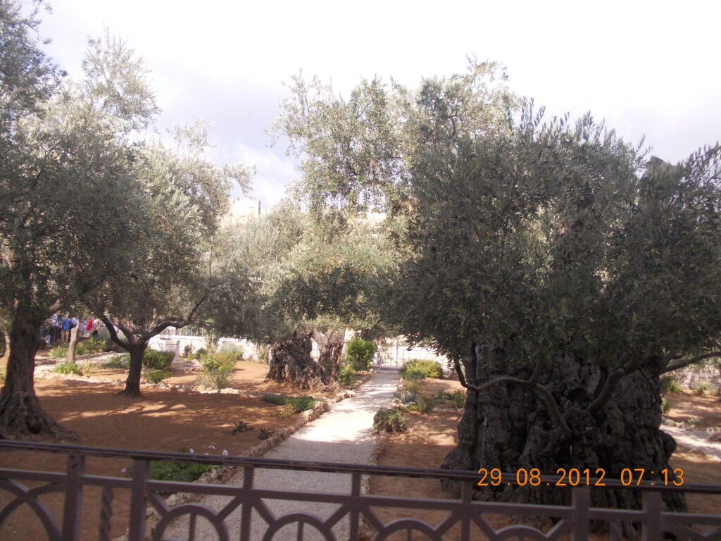 Tentativă de incendiere a Bisericii Tuturor Naţiunilor din Ierusalim; poliţia a arestat un suspect Tentativă de incendiere a Bisericii Tuturor Naţiunilor din Ierusalim; poliţia a arestat un suspect