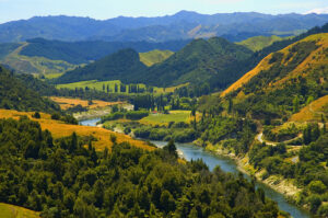 Râul, Whanganui