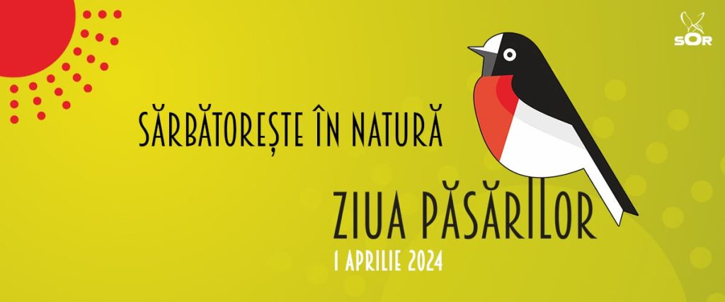 Plimbări relaxante în natură însoțiți de ciripitul păsărelelor Plimbări relaxante în natură însoțiți de ciripitul păsărelelor