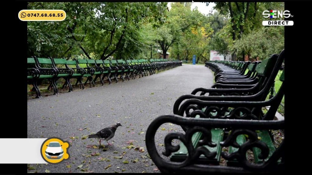 Parcul Cișmigiu Parcul Cișmigiu