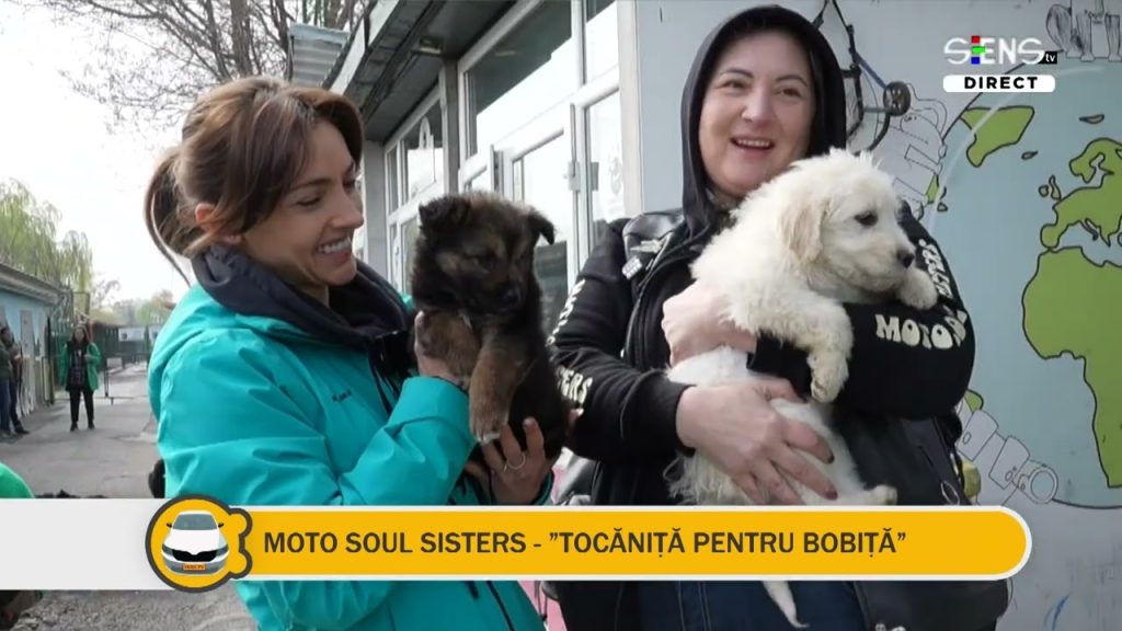 „Tocăniță pentru Bobiță” – Moto Soul Sisters | Adăpostul Speranța „Tocăniță pentru Bobiță” – Moto Soul Sisters | Adăpostul Speranța