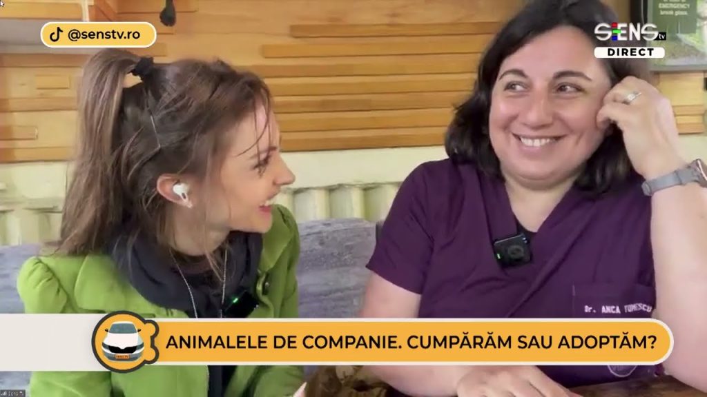 Speranță pentru câinii nimănui Speranță pentru câinii nimănui