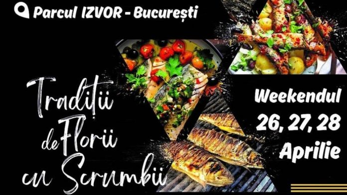 scrumbii
