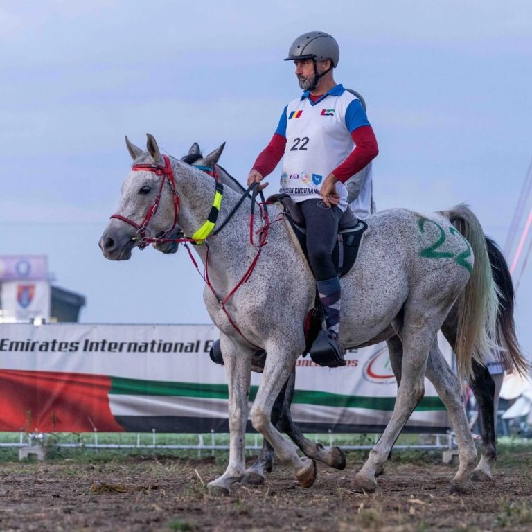 Vor merge 160 de kilometri pe cai la Buftea pentru titlul de campion al lumii