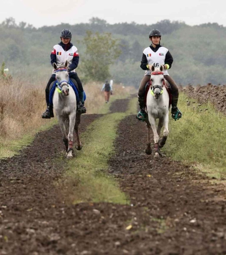 Realizare URIASĂ pentru ROMÂNIA! Țara noastră, centrul sportului ecvestru în 2025 și 2026!