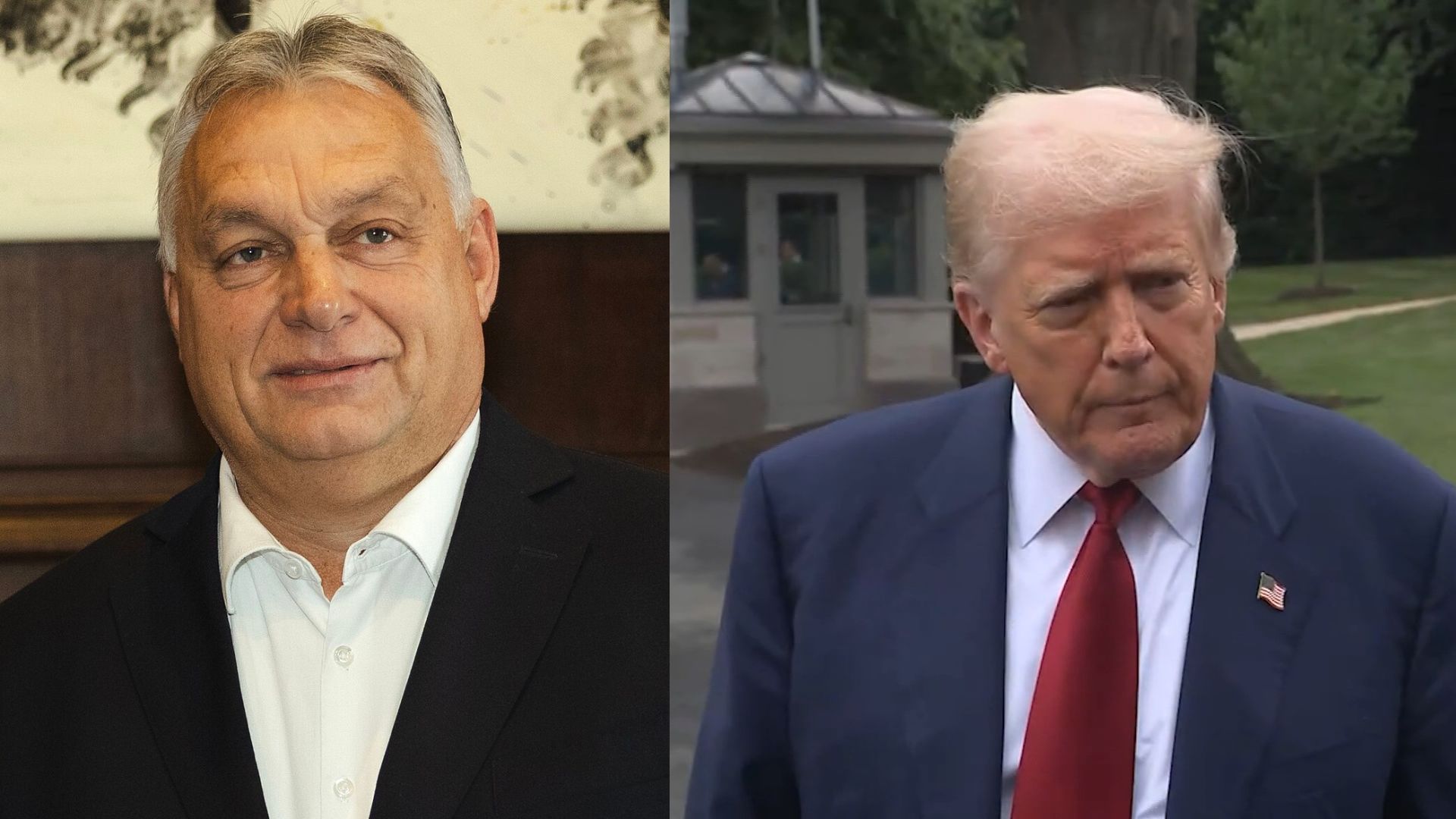 Donald Trump, Viktor Orban