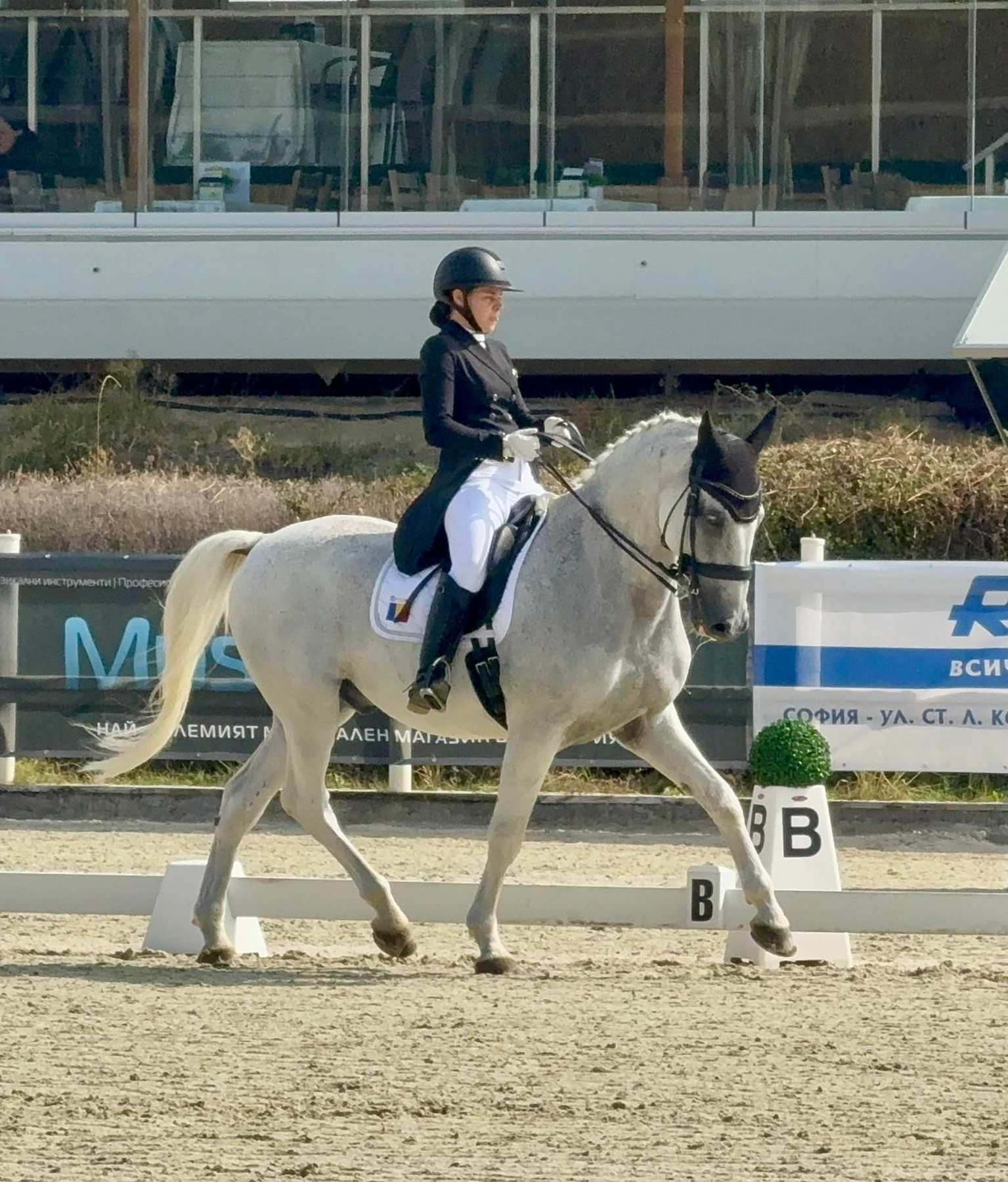 De la dresaj spre o meserie rară în lume: TERAPEUT pentru CAI!